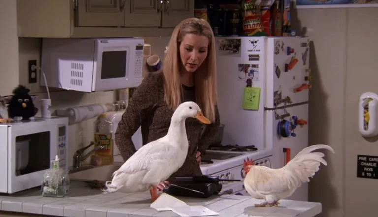 Момент из 12 серии 5 сезона